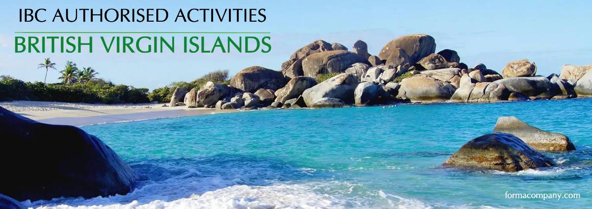 BVI IBC Authorised Activites