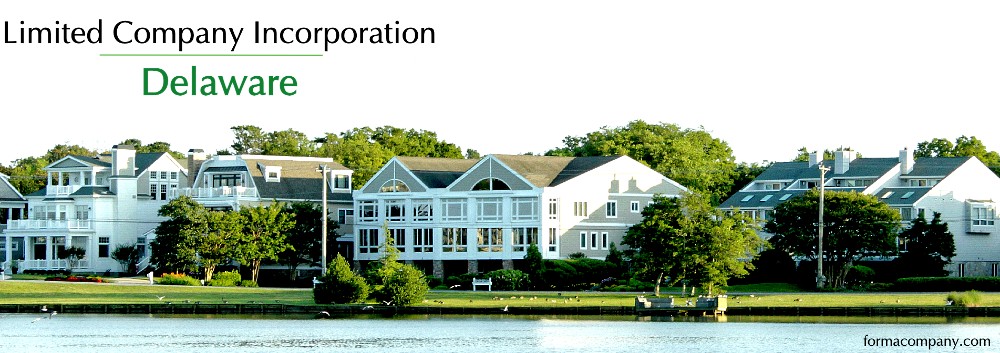 Delaware Limited Company Incorporation 1
